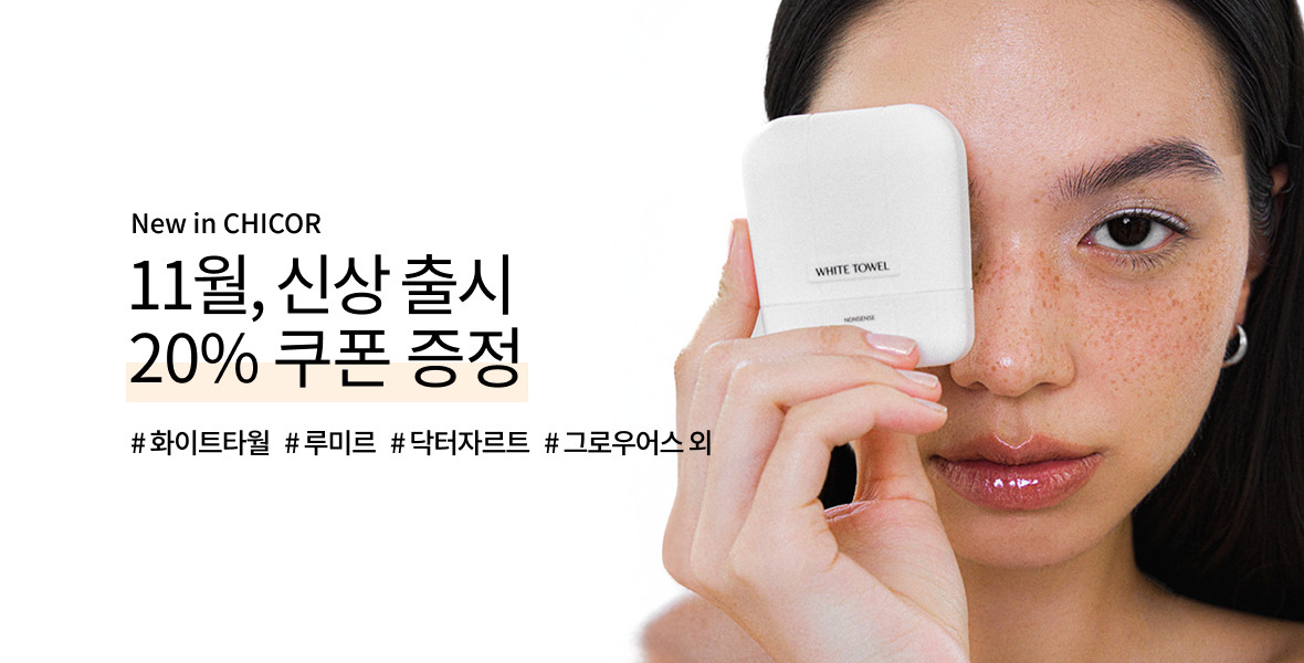 11월 뉴인시코르