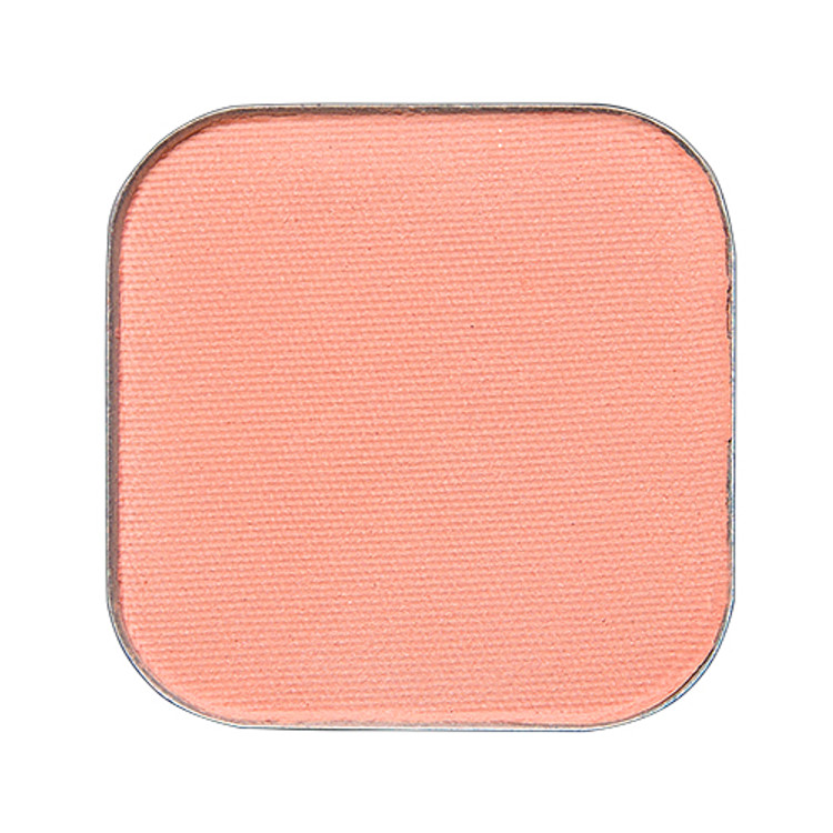 416퍼지애프리콧