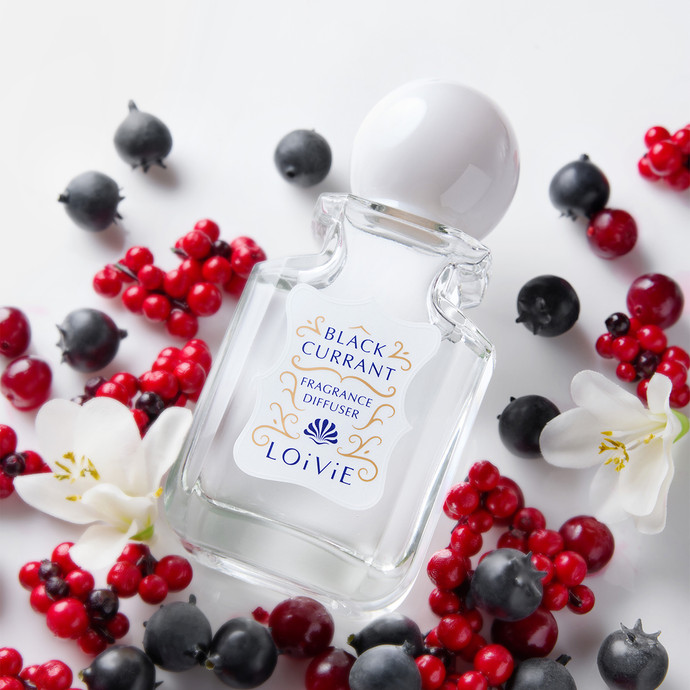[NEW] 로이비 프래그런스 디퓨저 미니 100ml (스틱세트)