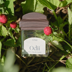 취 오디 오 드 퍼퓸 50ml