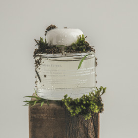 퍼퓸 디퓨저 이끼숲 Moss Forest. 120ML