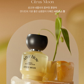 애프터 블로우 오 드 퍼퓸 25ml - 04 시트러스 문