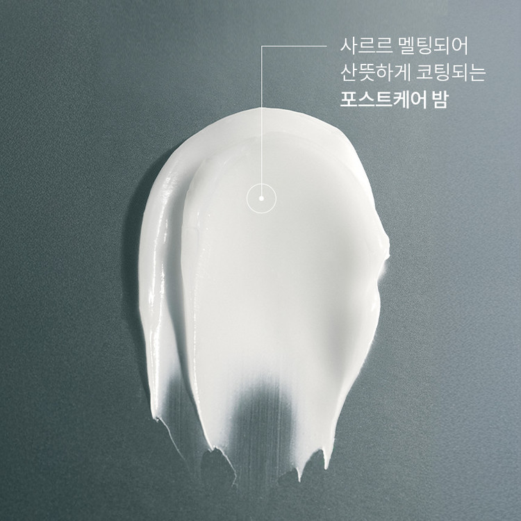 시그니처 리페어 세트