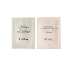 ★시코르닷컴 구매시 연작 컨센트레이트 2ml + 수분크림 2ml 증정(소진시종료)