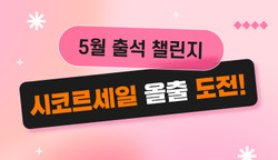 [출석챌린지] 5월 시코르세일 올출 도전